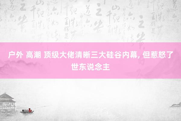 户外 高潮 顶级大佬清晰三大硅谷内幕， 但惹怒了世东说念主