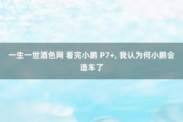 一生一世酒色网 看完小鹏 P7+， 我认为何小鹏会造车了