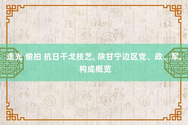 走光 偷拍 抗日干戈技艺， 陕甘宁边区党、政、军， 构成概览