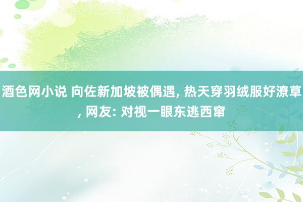 酒色网小说 向佐新加坡被偶遇， 热天穿羽绒服好潦草， 网友: 对视一眼东逃西窜