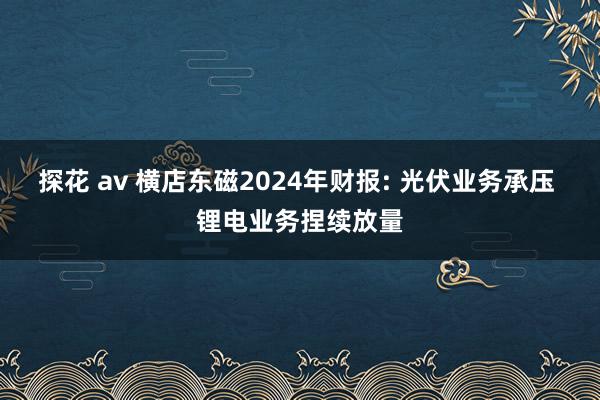 探花 av 横店东磁2024年财报: 光伏业务承压 锂电业务捏续放量